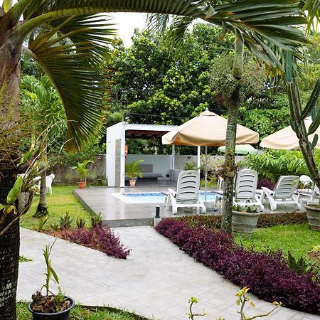 Green Palm Self Catering Anse aux Pins Eksteriør bilde
